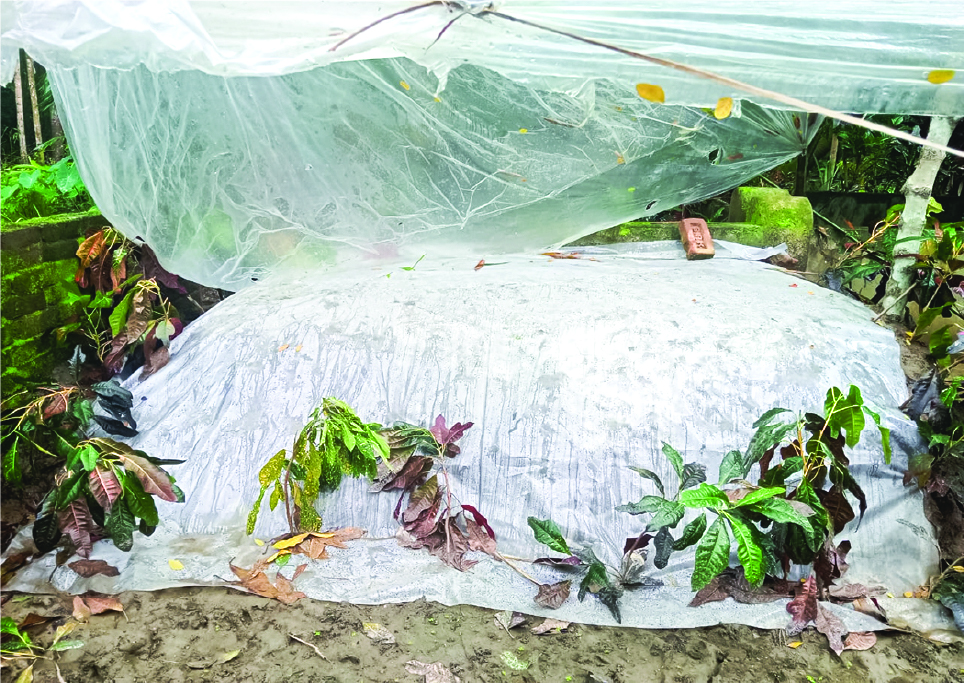 Image of মামুন খন্দকার 